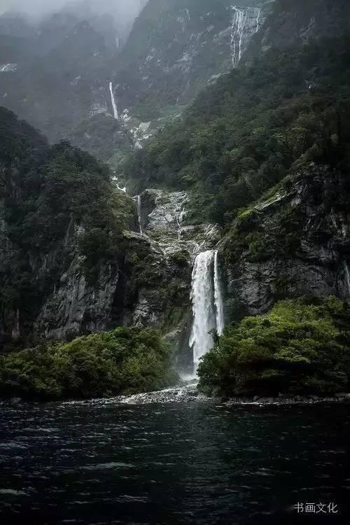 逃离大犀牛出没地