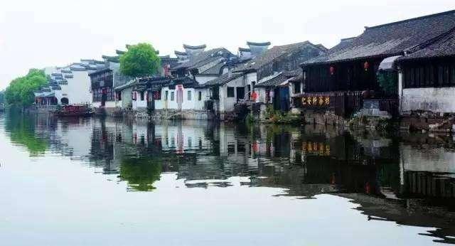 逗小猴开心系列207